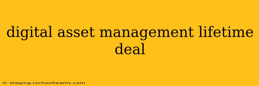 digital asset management lifetime deal