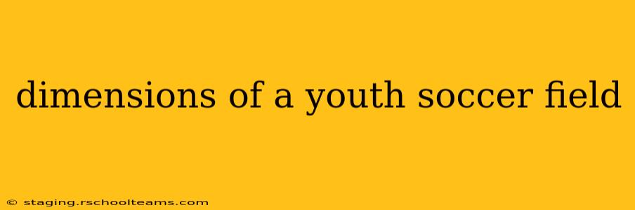 dimensions of a youth soccer field