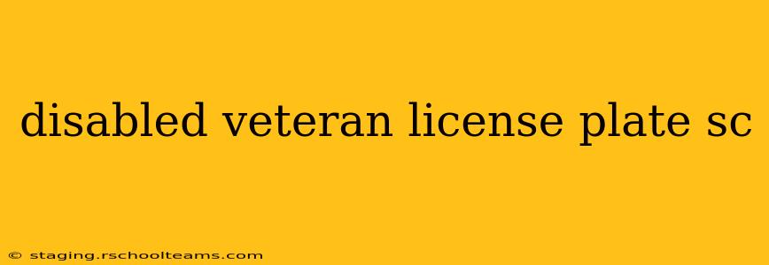 disabled veteran license plate sc