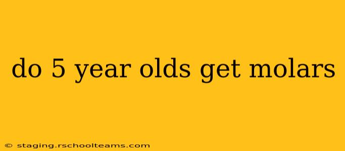 do 5 year olds get molars