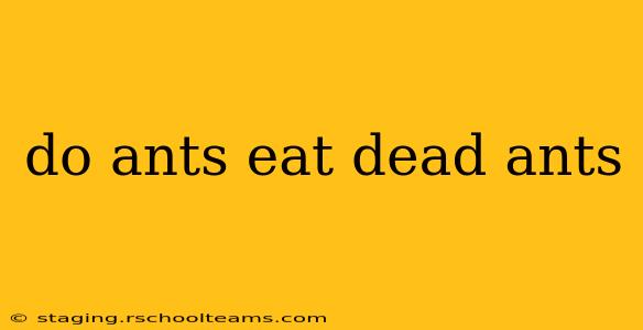 do ants eat dead ants