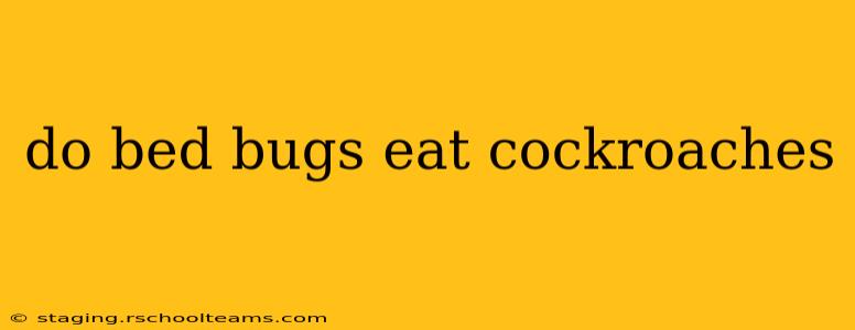 do bed bugs eat cockroaches