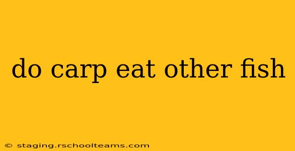 do carp eat other fish