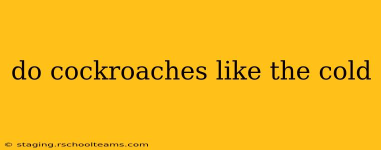 do cockroaches like the cold