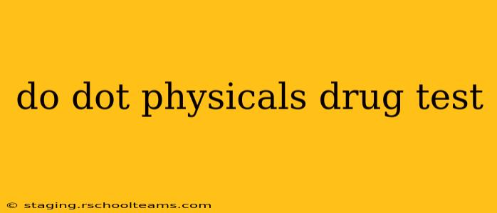 do dot physicals drug test