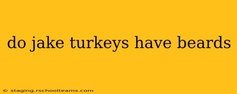 do jake turkeys have beards