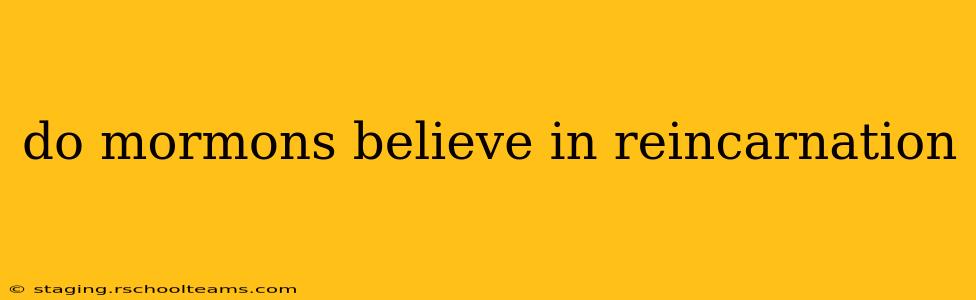 do mormons believe in reincarnation