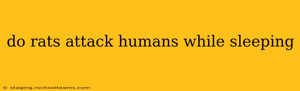 do rats attack humans while sleeping