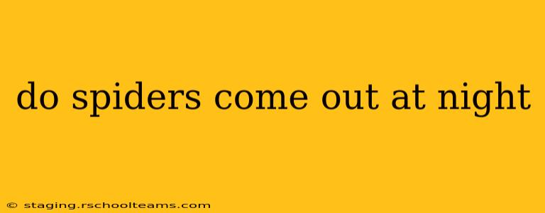do spiders come out at night