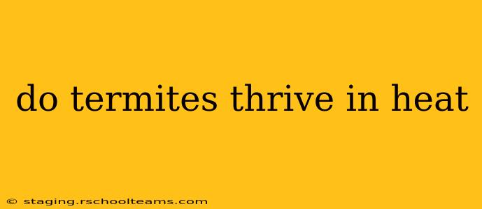 do termites thrive in heat