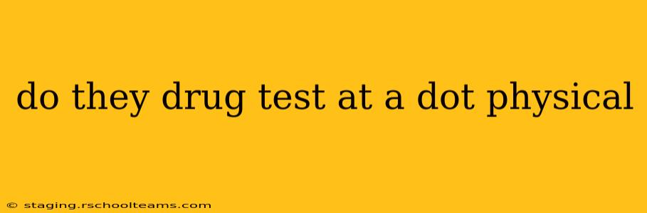 do they drug test at a dot physical