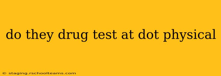do they drug test at dot physical