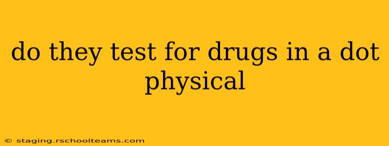 do they test for drugs in a dot physical
