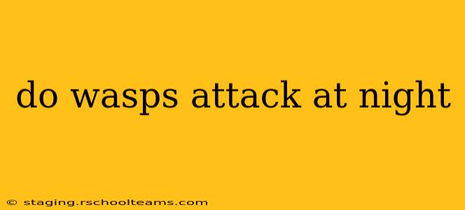 do wasps attack at night