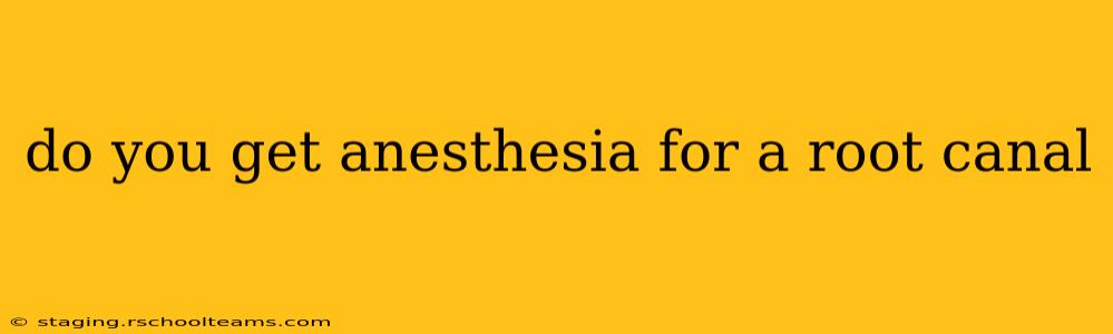 do you get anesthesia for a root canal
