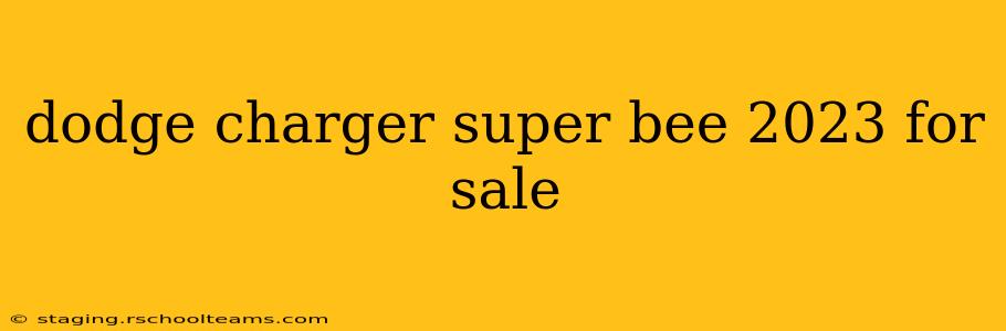 dodge charger super bee 2023 for sale