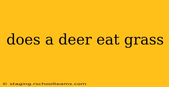 does a deer eat grass