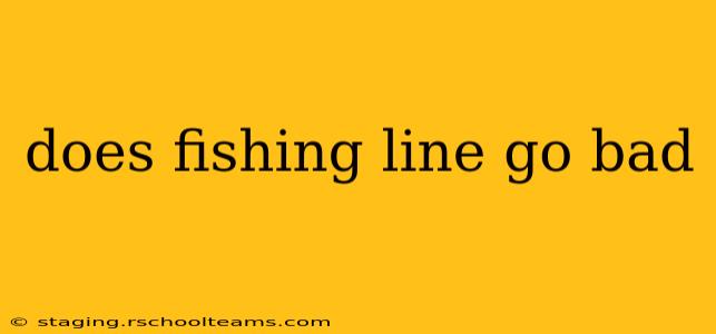 does fishing line go bad