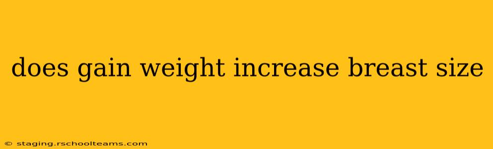 does gain weight increase breast size