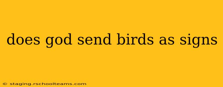 does god send birds as signs