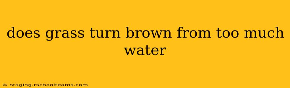 does grass turn brown from too much water