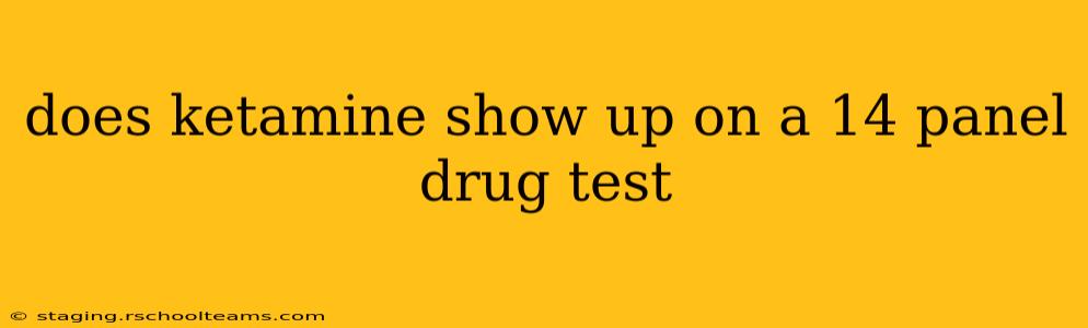 does ketamine show up on a 14 panel drug test