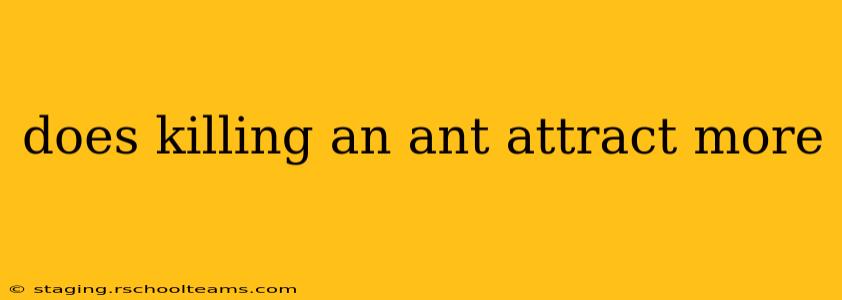 does killing an ant attract more