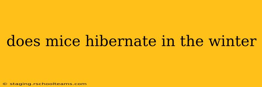 does mice hibernate in the winter