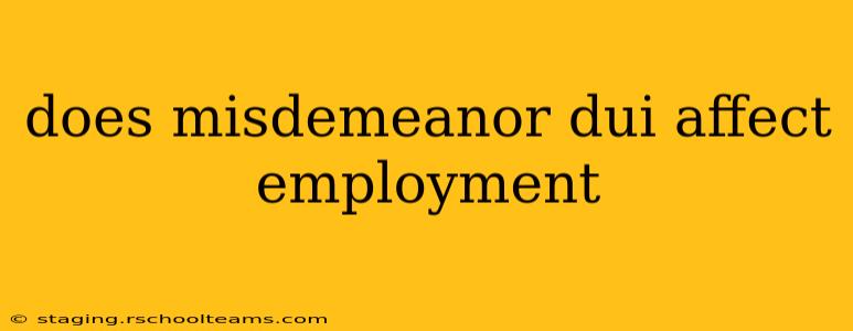 does misdemeanor dui affect employment