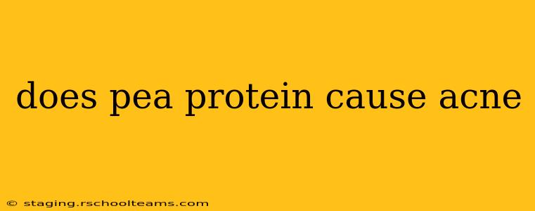 does pea protein cause acne