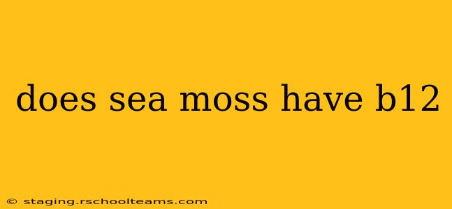 does sea moss have b12