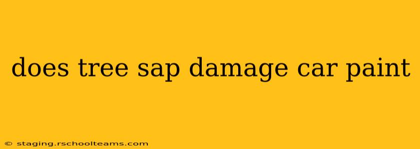 does tree sap damage car paint