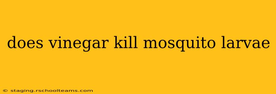 does vinegar kill mosquito larvae