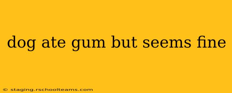 dog ate gum but seems fine