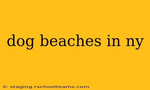 dog beaches in ny