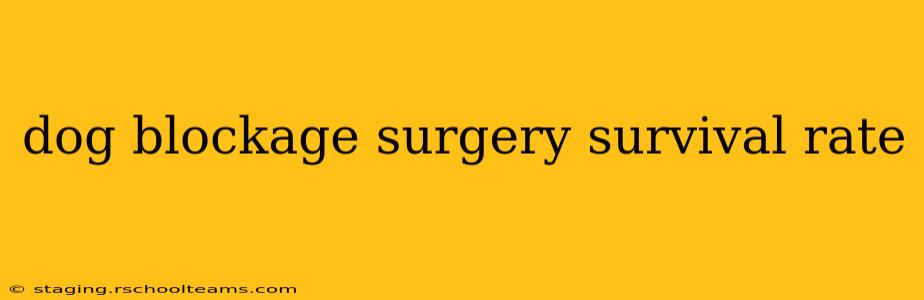 dog blockage surgery survival rate