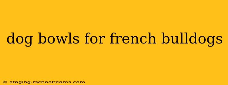 dog bowls for french bulldogs