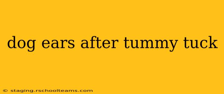 dog ears after tummy tuck