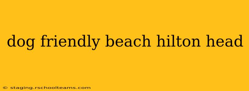 dog friendly beach hilton head