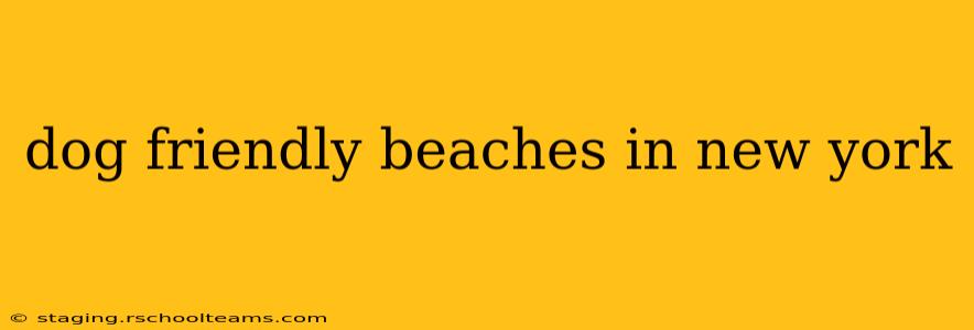 dog friendly beaches in new york