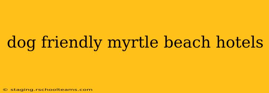 dog friendly myrtle beach hotels