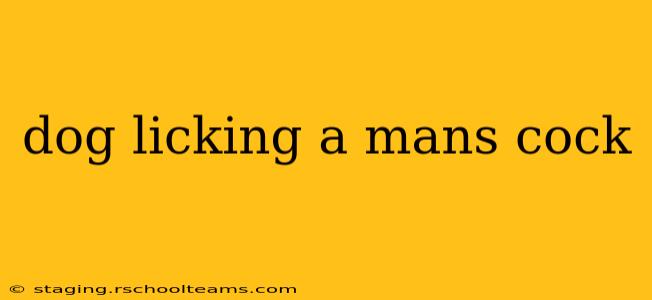 dog licking a mans cock