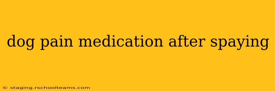 dog pain medication after spaying