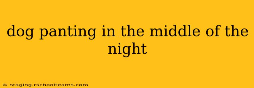 dog panting in the middle of the night