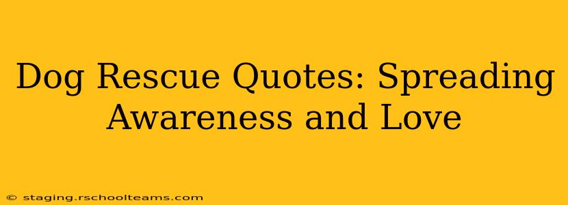 Dog Rescue Quotes: Spreading Awareness and Love