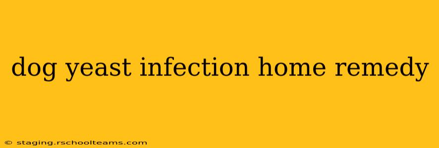 dog yeast infection home remedy