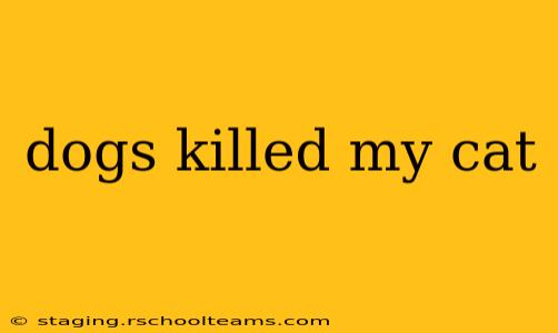 dogs killed my cat