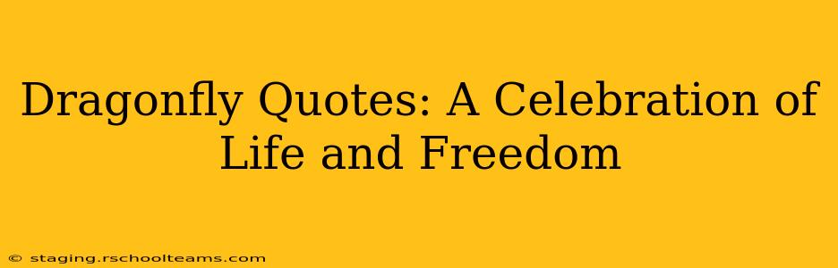 Dragonfly Quotes: A Celebration of Life and Freedom