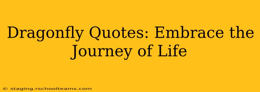 Dragonfly Quotes: Embrace the Journey of Life