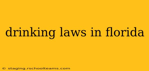 drinking laws in florida